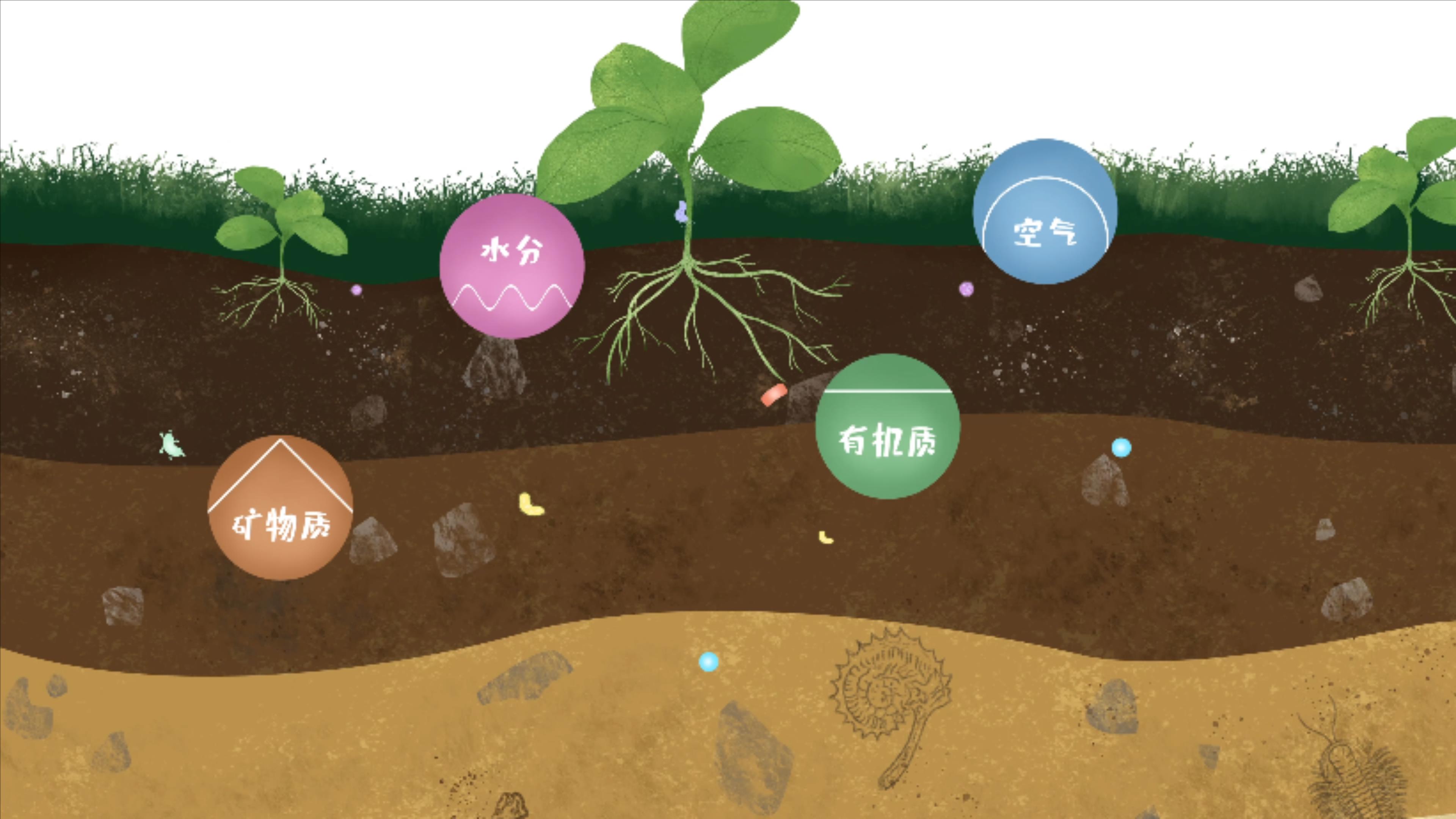 土壤由礦物質、有機質、水分、空氣及包括微生物在內的生物體等組成