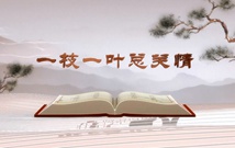 《平“語”近人——習(xí)近平總書記用典》（第一集）一枝一葉總關(guān)情