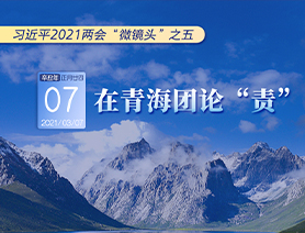 習(xí)近平2021兩會(huì)“微鏡頭”之五：3月7日 在青海團(tuán)論“責(zé)”