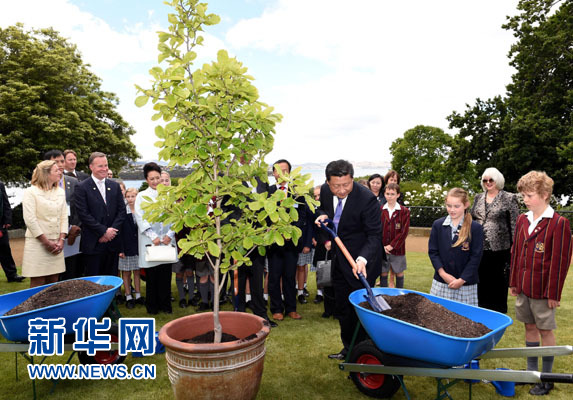 11月18日，國家主席習(xí)近平在澳大利亞塔斯馬尼亞州與朗塞斯頓市斯科奇－歐克伯恩小學(xué)的小學(xué)生共同植樹。新華社記者 饒愛民 攝