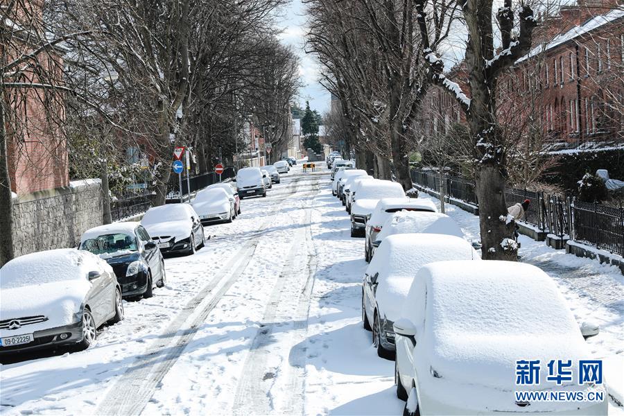 （國(guó)際）（4）愛爾蘭遭遇36年來最嚴(yán)重暴風(fēng)雪